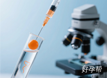 试管婴儿周期需要多久？2-6个月全流程时间表解析